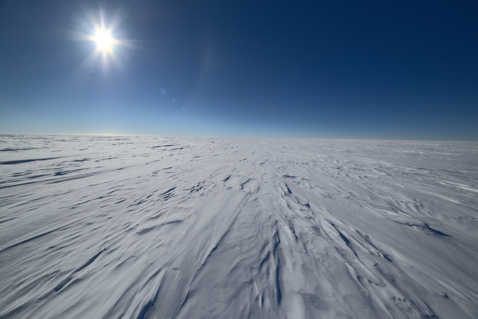The open ice